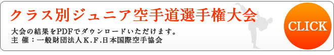 全日本ジュニア空手道選手権大会