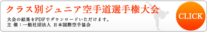 全日本ジュニア空手道選手権大会